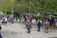 /album/26/tournoi-petanque-6-jpg2/